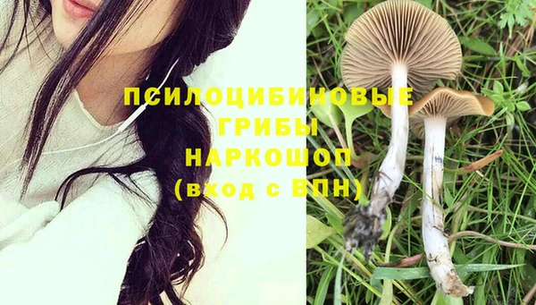 молекула духа Абаза