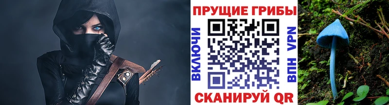 Псилоцибиновые грибы ЛСД  купить закладку  Кисловодск 